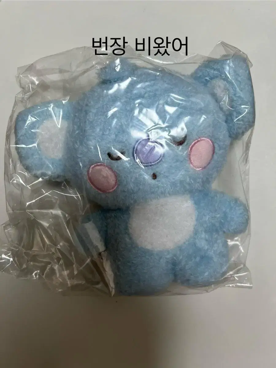 BT21 일본 네톤 탓톤 코야